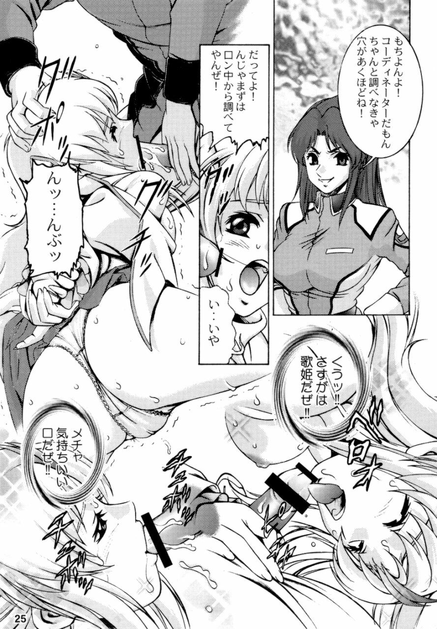 (CR35) [Sanryuu Club (Suzuki Ganma, Suzuki Kimchi)] Okadu Hatake (Gundam SEED) page 25 full