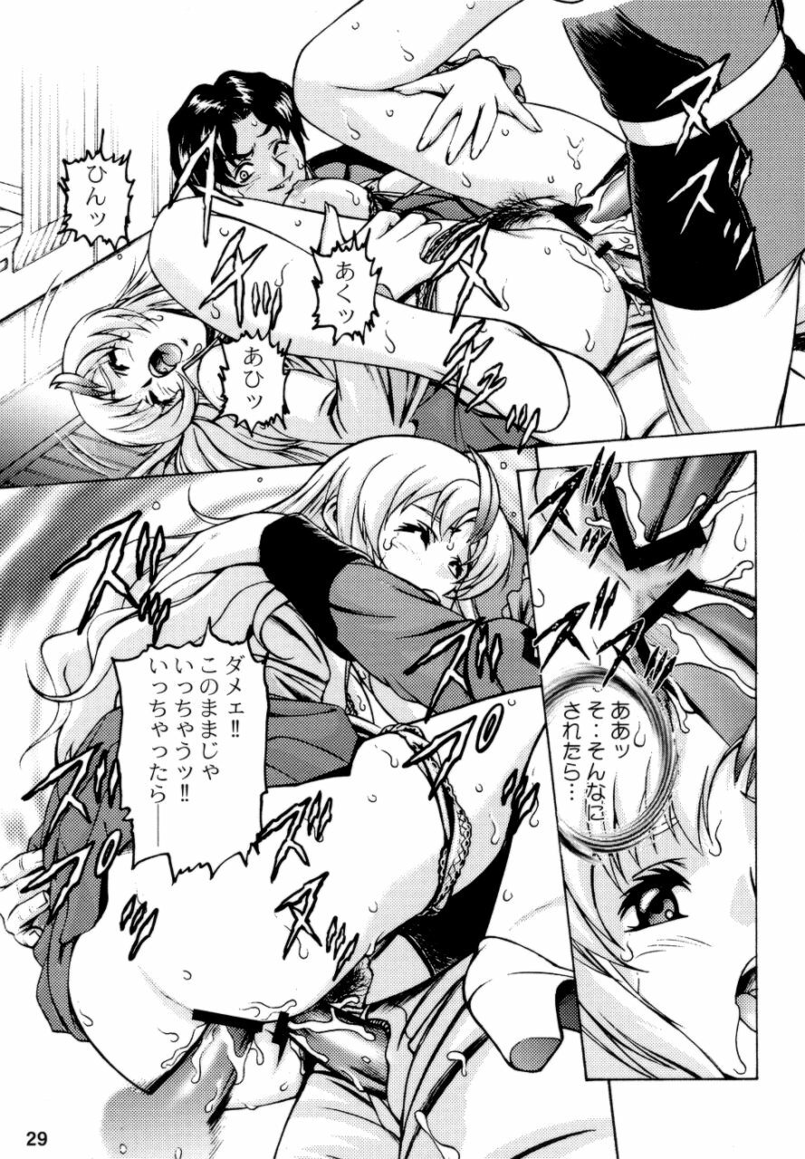 (CR35) [Sanryuu Club (Suzuki Ganma, Suzuki Kimchi)] Okadu Hatake (Gundam SEED) page 29 full