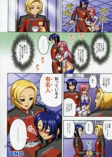 [Muchi Muchi 7 (Hikami Dan, Terada Zukeo)] Muchi Muchi Angel Vol. 11 (Gundam Seed Destiny) - page 14
