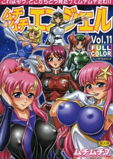 [Muchi Muchi 7 (Hikami Dan, Terada Zukeo)] Muchi Muchi Angel Vol. 11 (Gundam Seed Destiny) - page 1