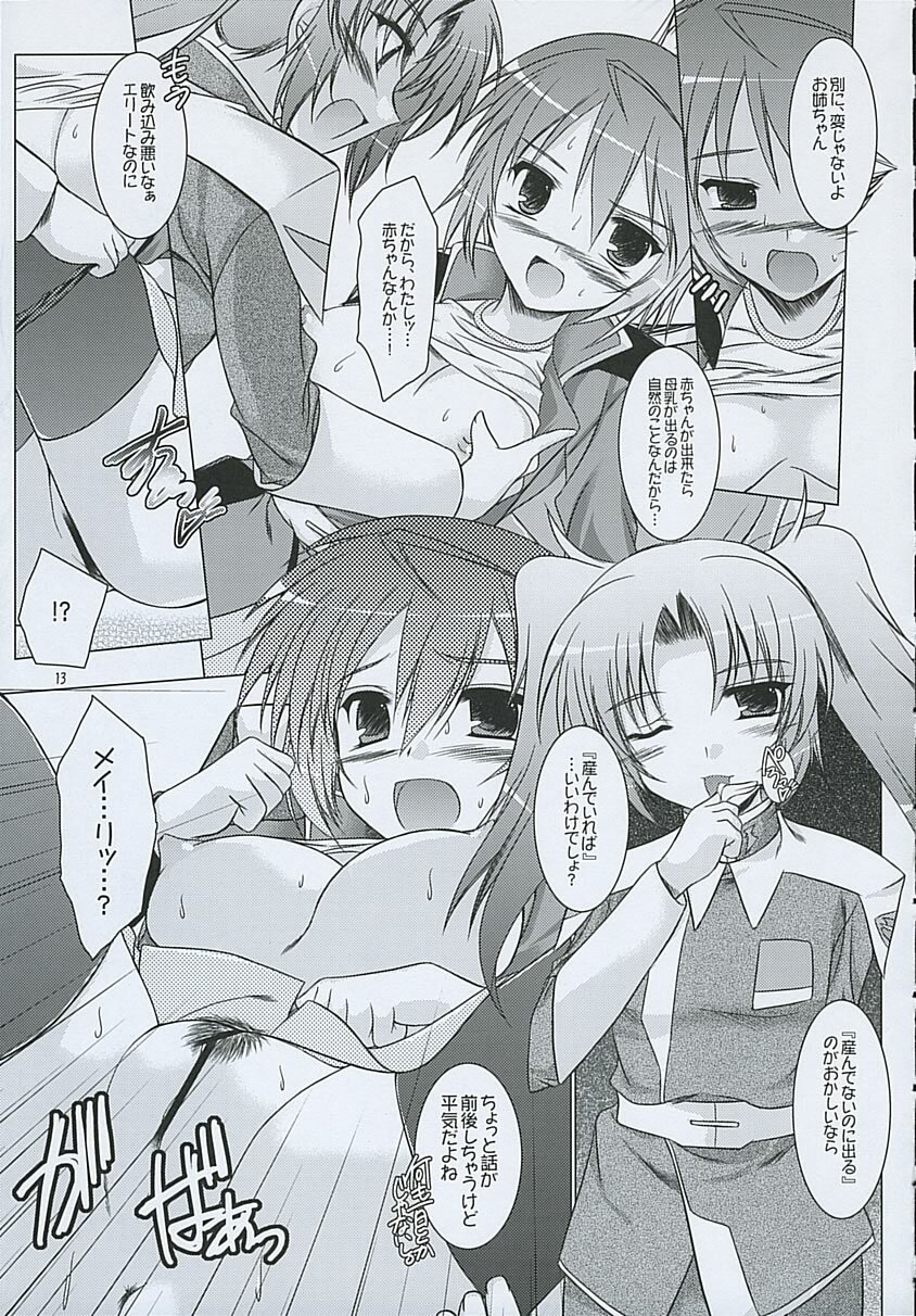 (C68) [Ponbikiya, Suirankaku (Ibuki Pon)] REDDISH PURPLE-AS (Gundam Seed Destiny) page 12 full