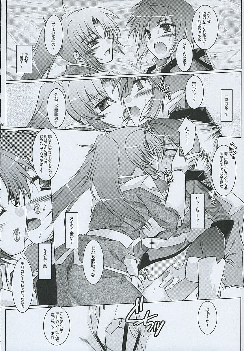 (C68) [Ponbikiya, Suirankaku (Ibuki Pon)] REDDISH PURPLE-AS (Gundam Seed Destiny) page 13 full