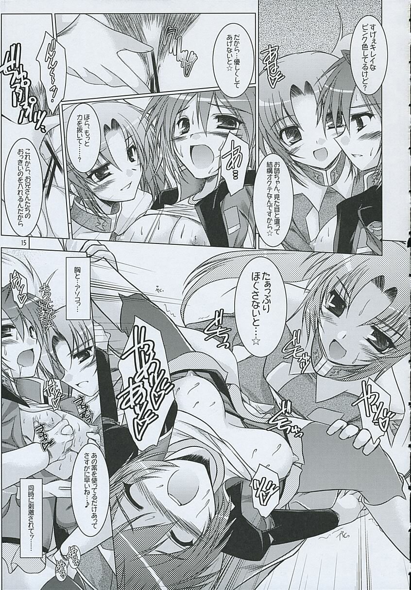 (C68) [Ponbikiya, Suirankaku (Ibuki Pon)] REDDISH PURPLE-AS (Gundam Seed Destiny) page 14 full