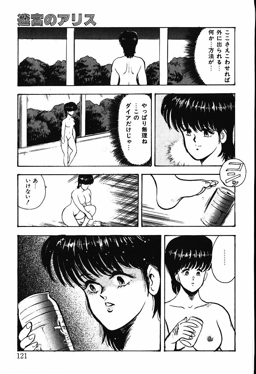 [Minor Boy] Meikyuu no Alice page 118 full