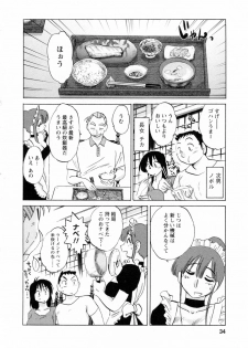 [Tsuyatsuya] Maid no Mitsuko-san 1 - page 34