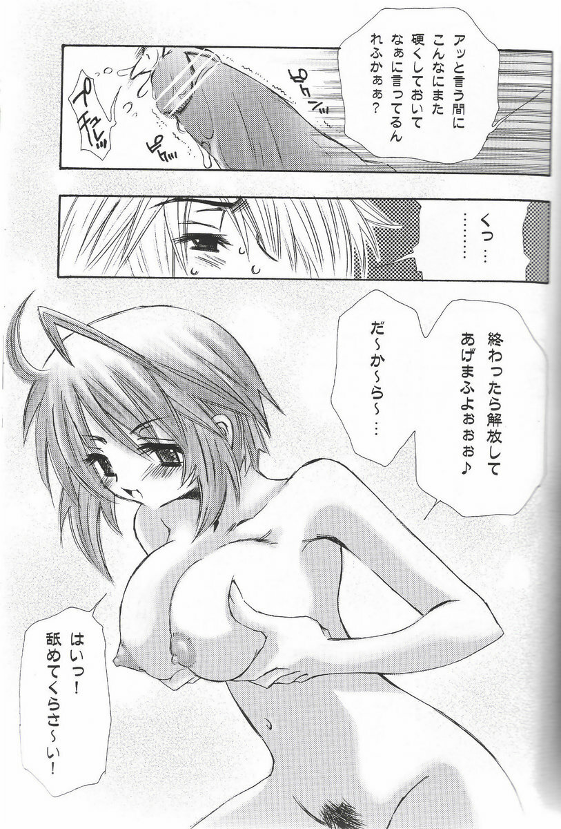 (C68) [C.Bjim (Togawa Hanamaru)] SPACE PINKISH (Mobile Suit Gundam SEED DESTINY) page 18 full