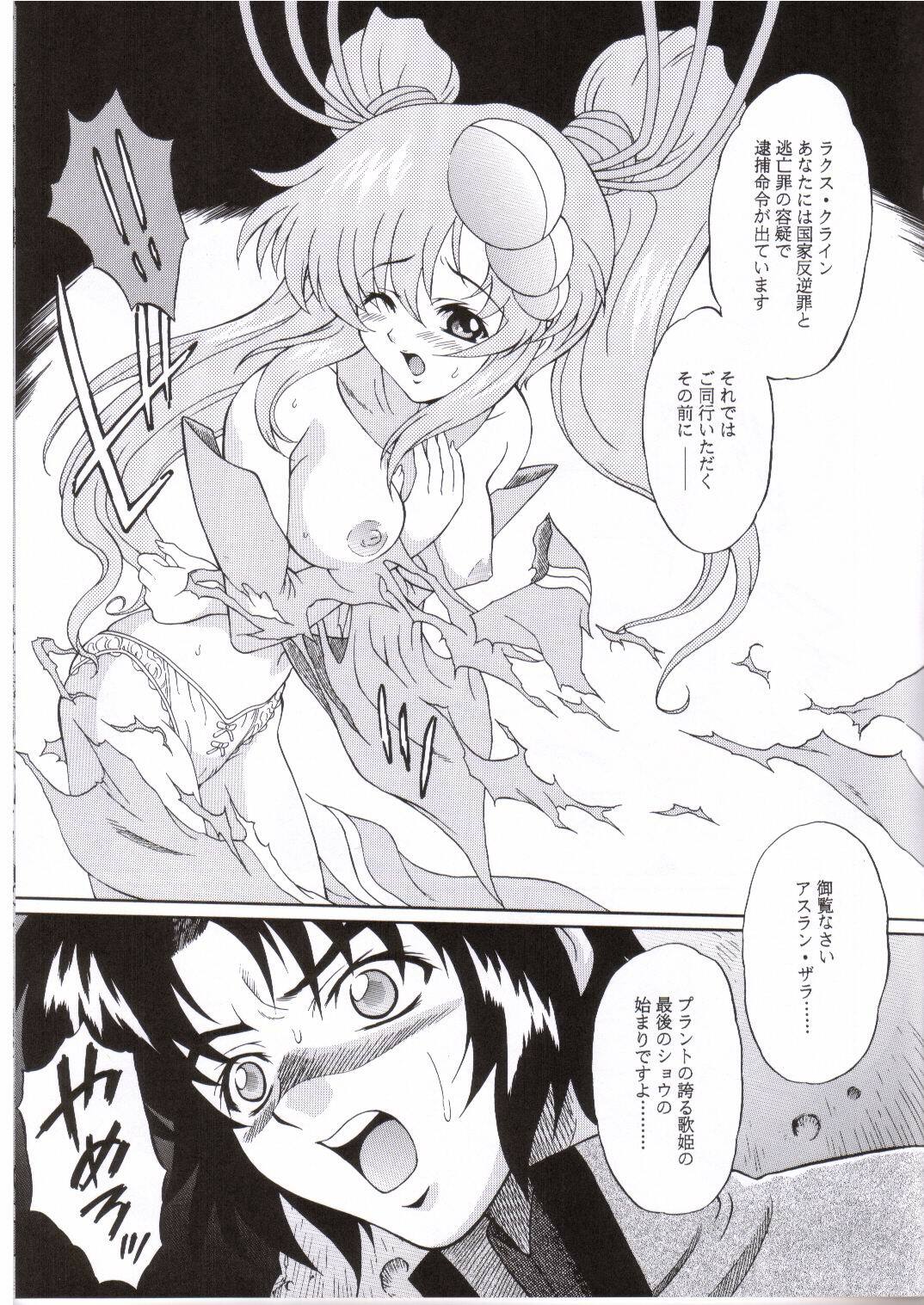 (C64) [GUST (Harukaze Soyogu)] Sternness (Mobile Suit Gundam SEED) page 2 full