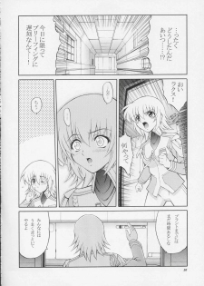 [GUST (Harukaze Soyogu)] Sternness 2 (Mobile Suit Gundam SEED) - page 29