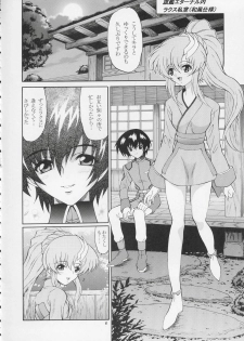 [GUST (Harukaze Soyogu)] Sternness 2 (Mobile Suit Gundam SEED) - page 5