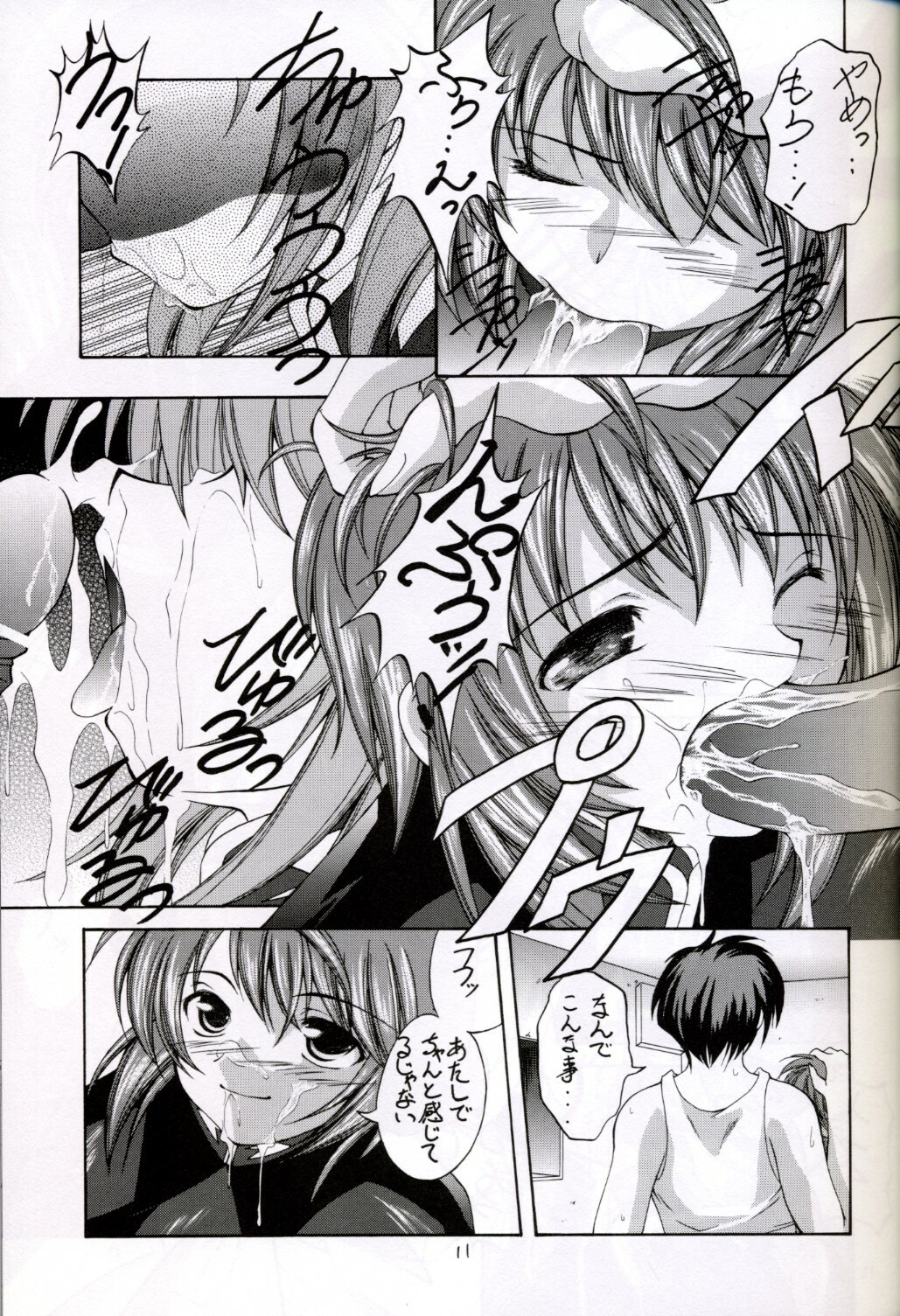 (C67) [Red Ribbon Revenger (Hayama, Makoushi)] Shouhou (Gundam Seed Destiny) page 11 full