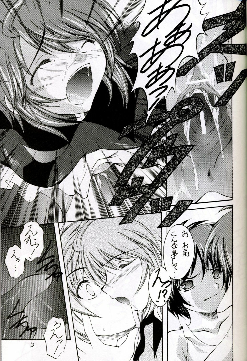 (C67) [Red Ribbon Revenger (Hayama, Makoushi)] Shouhou (Gundam Seed Destiny) page 13 full