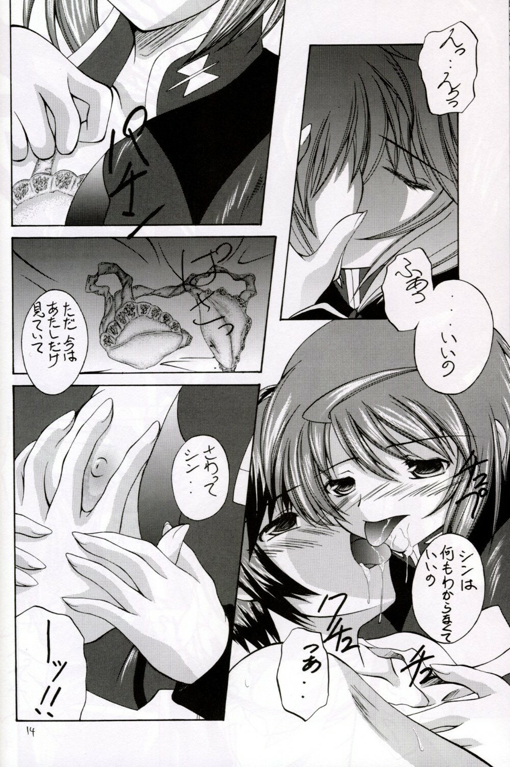 (C67) [Red Ribbon Revenger (Hayama, Makoushi)] Shouhou (Gundam Seed Destiny) page 14 full