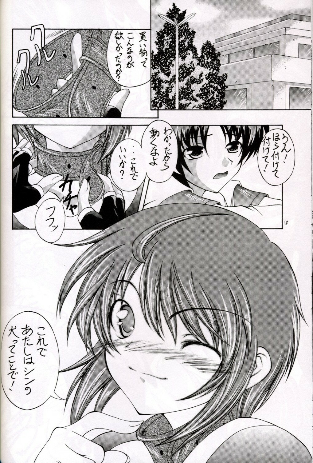 (C67) [Red Ribbon Revenger (Hayama, Makoushi)] Shouhou (Gundam Seed Destiny) page 18 full