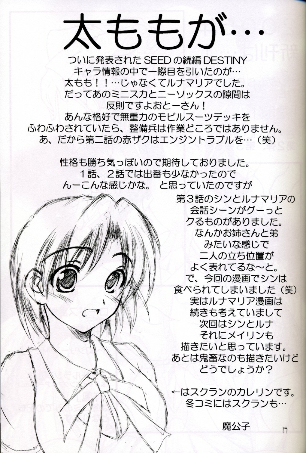 (C67) [Red Ribbon Revenger (Hayama, Makoushi)] Shouhou (Gundam Seed Destiny) page 19 full