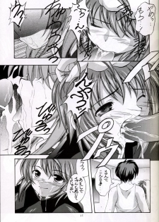 (C67) [Red Ribbon Revenger (Hayama, Makoushi)] Shouhou (Gundam Seed Destiny) - page 11