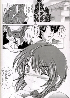 (C67) [Red Ribbon Revenger (Hayama, Makoushi)] Shouhou (Gundam Seed Destiny) - page 18