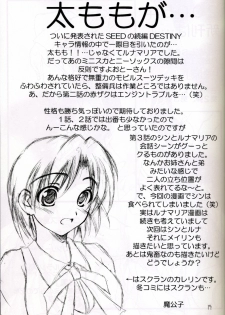 (C67) [Red Ribbon Revenger (Hayama, Makoushi)] Shouhou (Gundam Seed Destiny) - page 19
