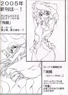 (C67) [Red Ribbon Revenger (Hayama, Makoushi)] Shouhou (Gundam Seed Destiny) - page 20