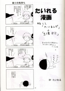 (C67) [Red Ribbon Revenger (Hayama, Makoushi)] Shouhou (Gundam Seed Destiny) - page 23
