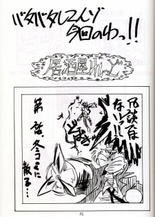 (C67) [Red Ribbon Revenger (Hayama, Makoushi)] Shouhou (Gundam Seed Destiny) - page 33