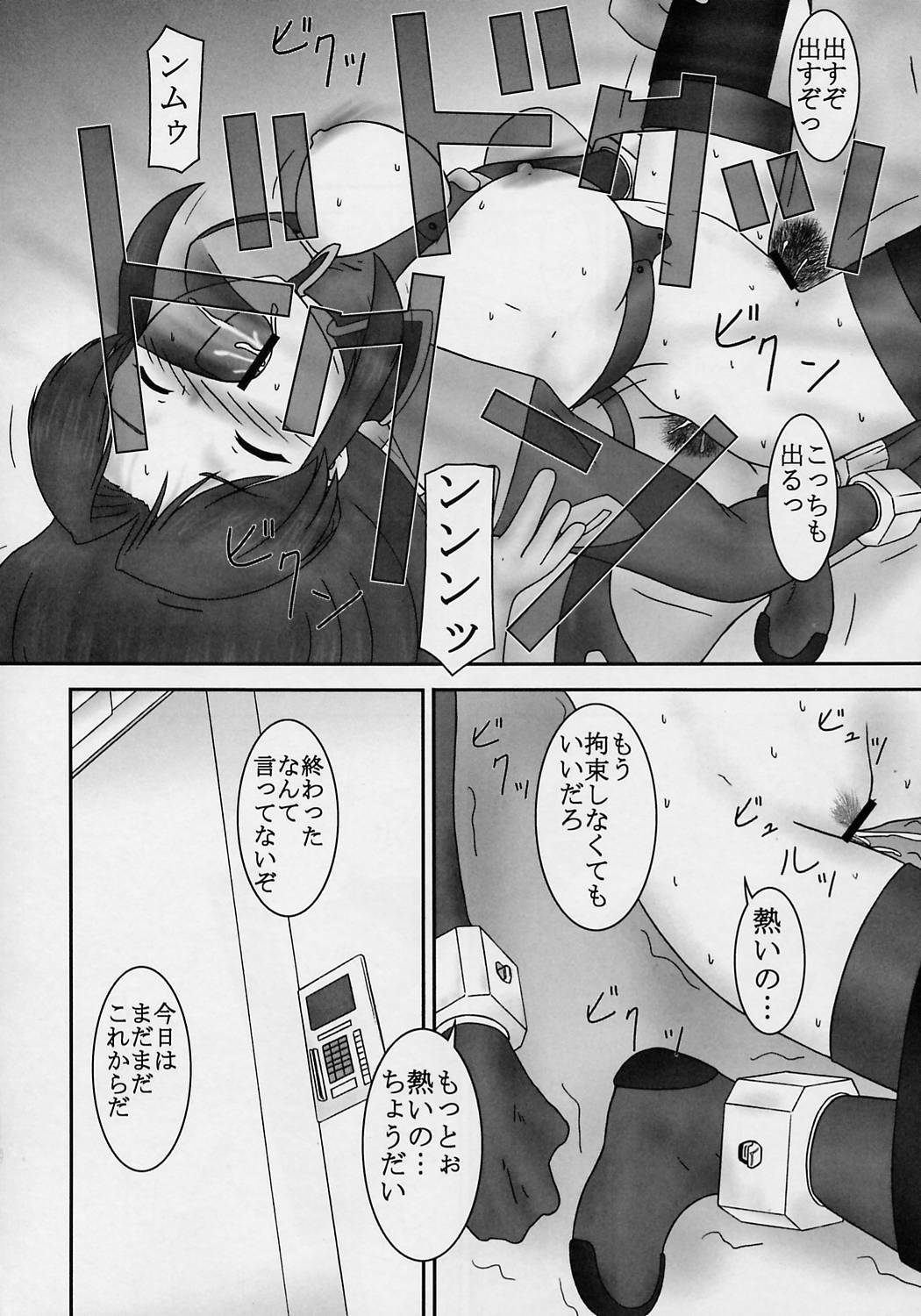 (C63) [Parameter (S Parameter)] Tozasareshi Basho (Gundam Seed) page 13 full