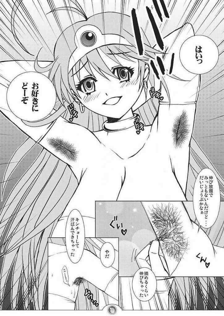 (C70) [Harem (Mizuki Honey)] Nani ga Okitemo Manatsu no Magic. (Dragon Quest III) page 5 full
