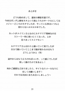 (C68) [Hasuya (Mikagezawa Ren)] Tane Chichi (Kidou Senshi Gundam SEED DESTINY [Mobile Suit Gundam SEED DESTINY]) - page 24