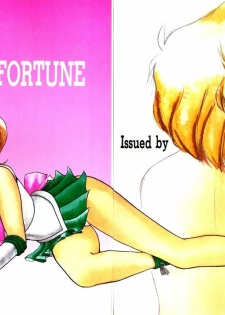 (C47) [T-press (ToWeR)] STAIR II FORTUNE (Bishoujo Senshi Sailor Moon) - page 33