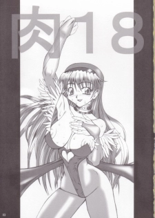 (C65) [Unagi no Nedoko (Nakano)] Niku 18 (Various) - page 2