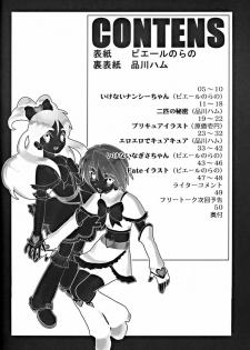 [Toluene Ittokan (Pierre Norano, Genka Ichien, Shinagawa Ham)] Ketsu! Megaton RV (Futari wa Precure, Read Or Die) - page 3