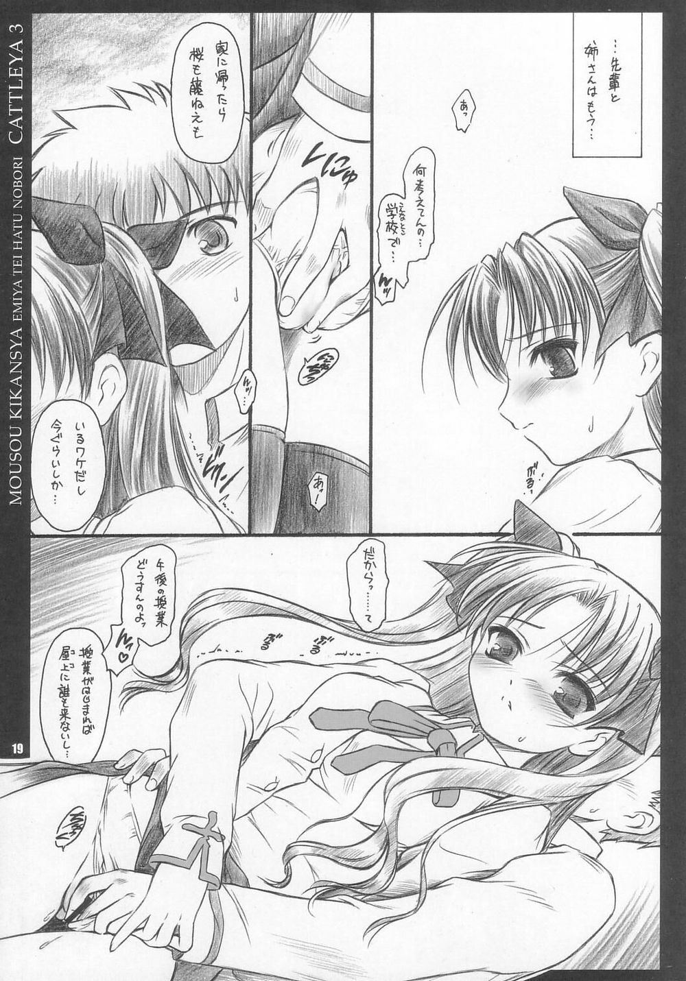 (C67) [Yakan Hikou (Inoue Tommy)] CATTLEYA 3 (Fate/stay night) page 18 full