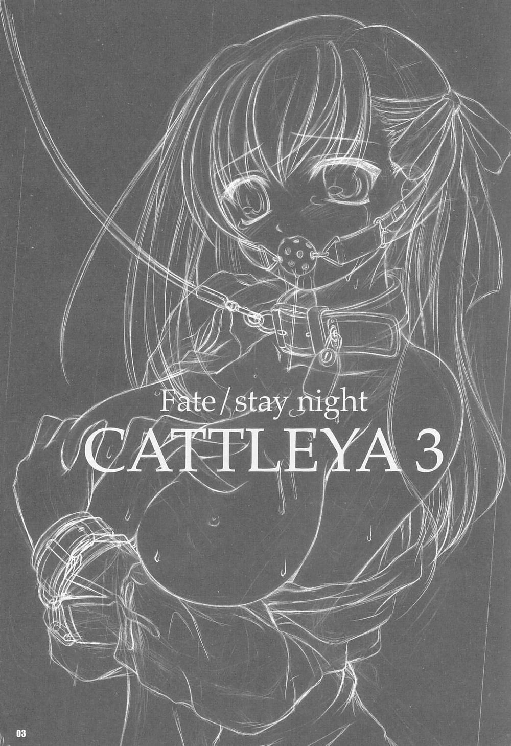 (C67) [Yakan Hikou (Inoue Tommy)] CATTLEYA 3 (Fate/stay night) page 2 full