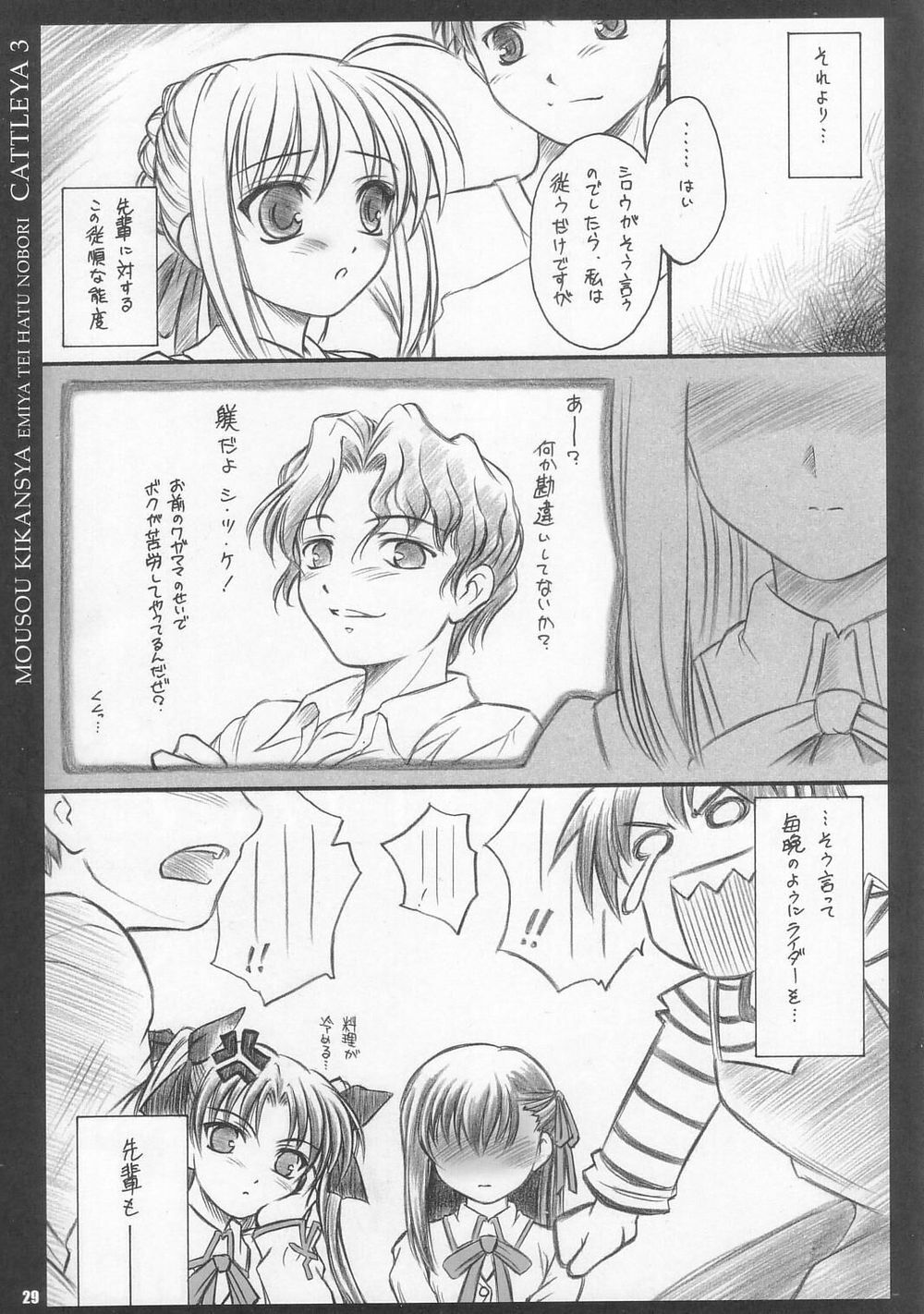 (C67) [Yakan Hikou (Inoue Tommy)] CATTLEYA 3 (Fate/stay night) page 28 full