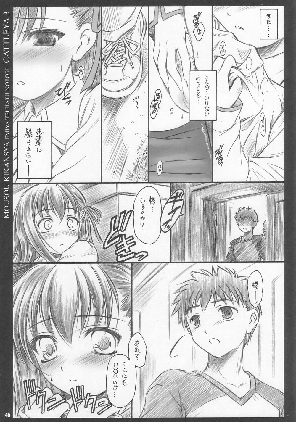 (C67) [Yakan Hikou (Inoue Tommy)] CATTLEYA 3 (Fate/stay night) page 44 full