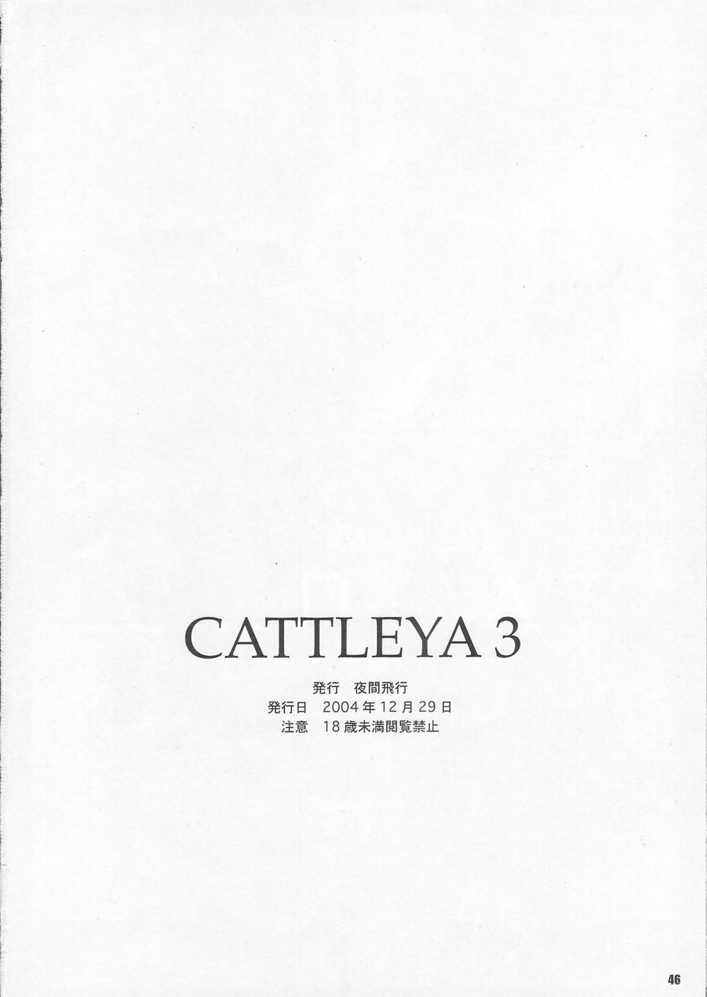(C67) [Yakan Hikou (Inoue Tommy)] CATTLEYA 3 (Fate/stay night) page 45 full