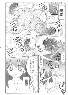 (C68) [Abarenbow Tengu (Izumi Yuujiro)] Kotori (Fate/stay night) - page 5