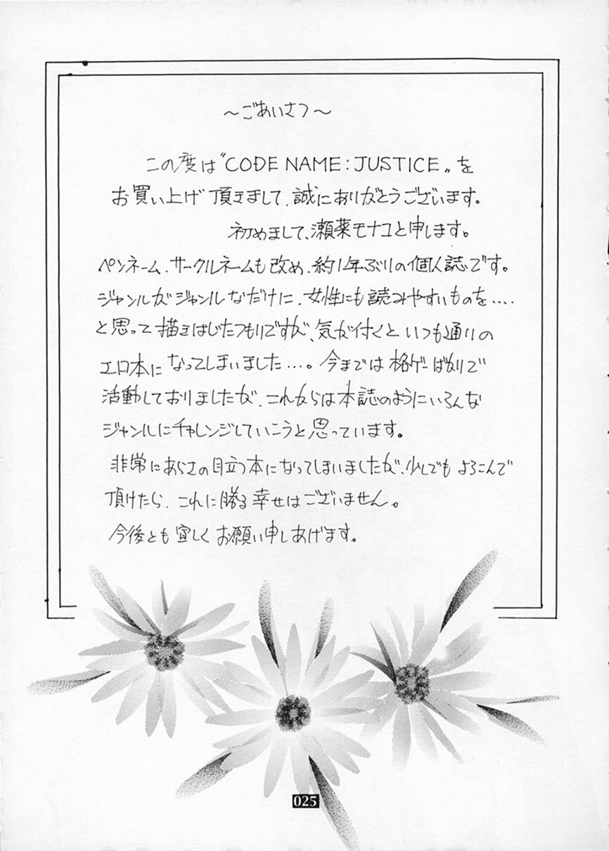 (CR31) [Monte Carlo-ya (Sena Monaco)] CODENAME: JUSTICE (One Piece) page 24 full