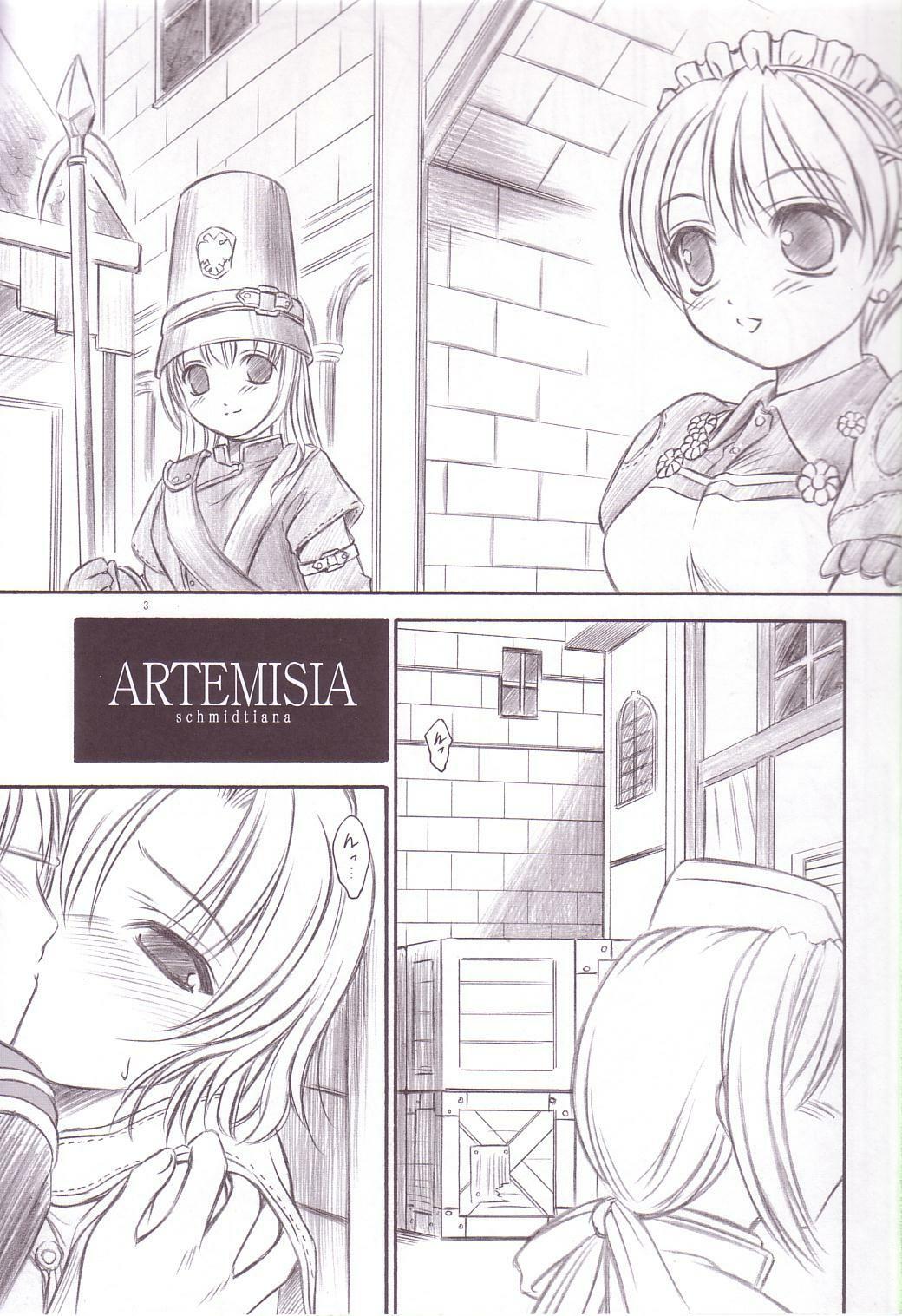 [Yakan Hikou (Inoue Tommy)] ARTEMISIA (Ragnarok Online) page 2 full