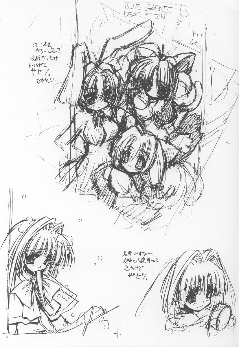 (C64) [BLUE GARNET (Serizawa Katsumi)] GIIIIII (Ragnarok Online) page 28 full