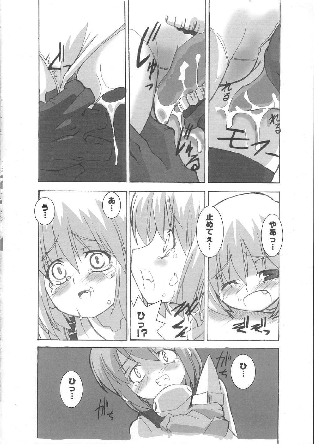 (C66) [Touge no Ryoutya ya (Ryoutya)] Reverse-side of Chapter: 11 (Ragnarok Online) page 10 full