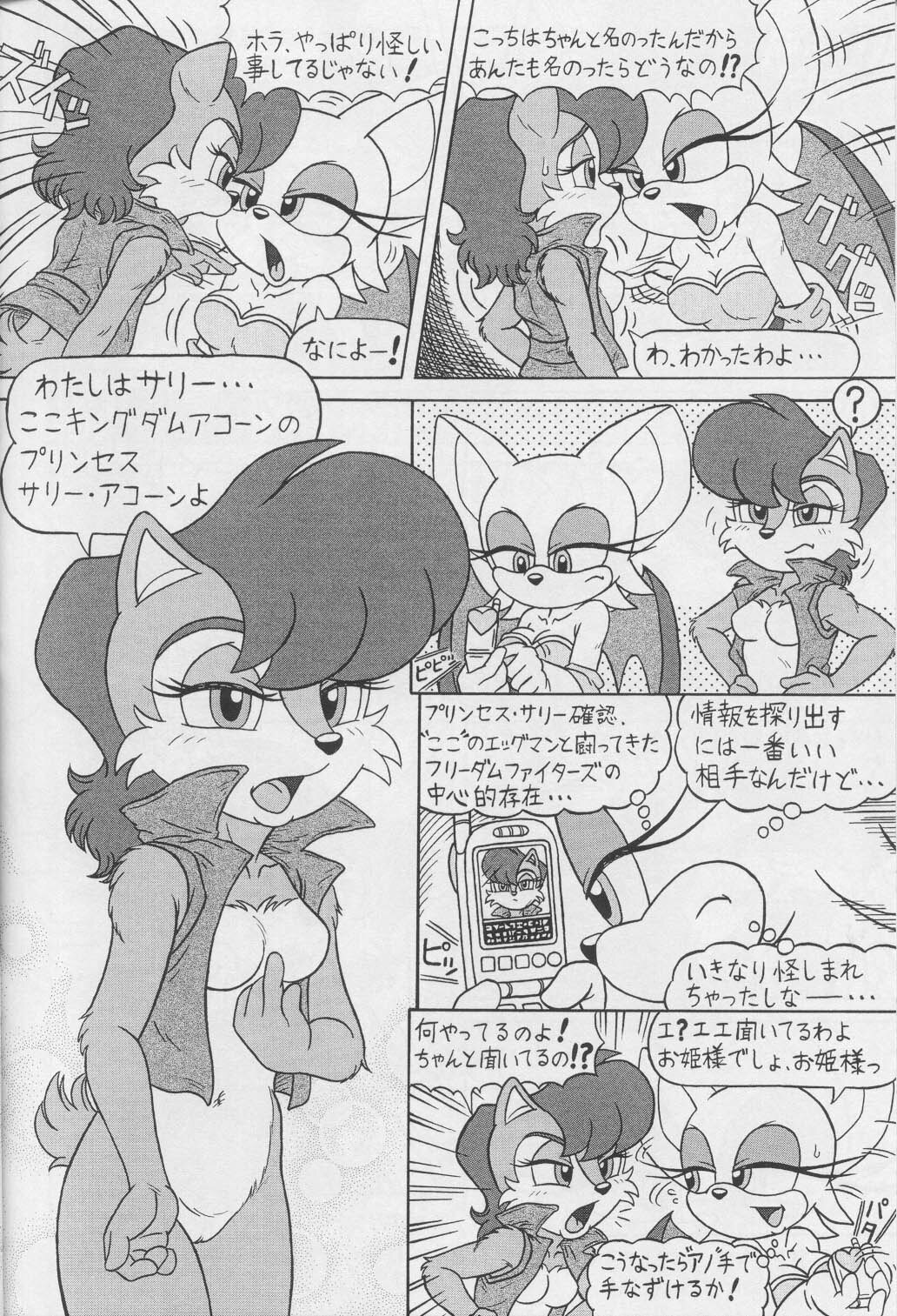 (CR34) [Furry Bomb Factory (Karate Akabon)] Furry BOMB #1 (Sonic the Hedgehog) page 10 full
