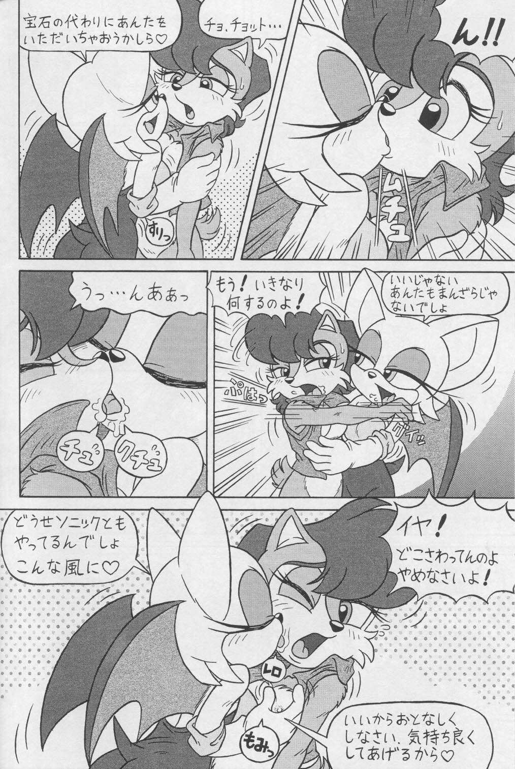 (CR34) [Furry Bomb Factory (Karate Akabon)] Furry BOMB #1 (Sonic the Hedgehog) page 12 full