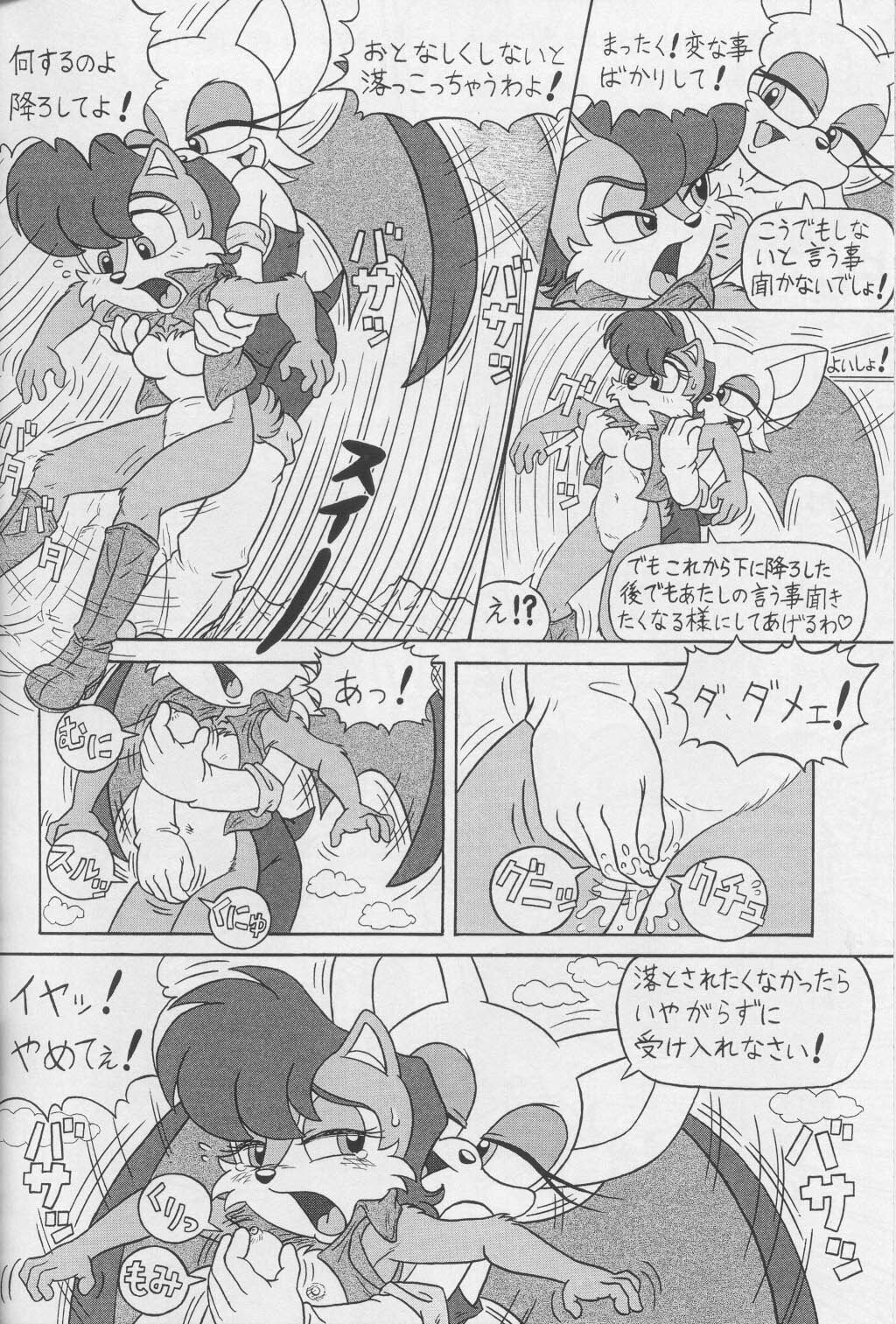 (CR34) [Furry Bomb Factory (Karate Akabon)] Furry BOMB #1 (Sonic the Hedgehog) page 14 full