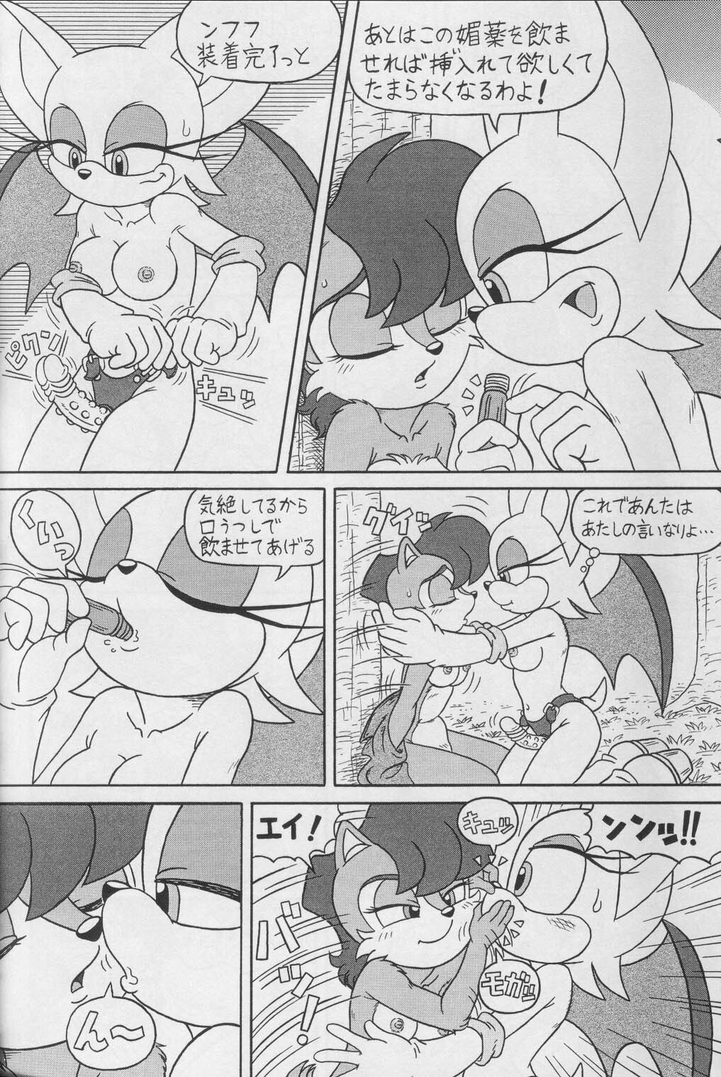 (CR34) [Furry Bomb Factory (Karate Akabon)] Furry BOMB #1 (Sonic the Hedgehog) page 18 full
