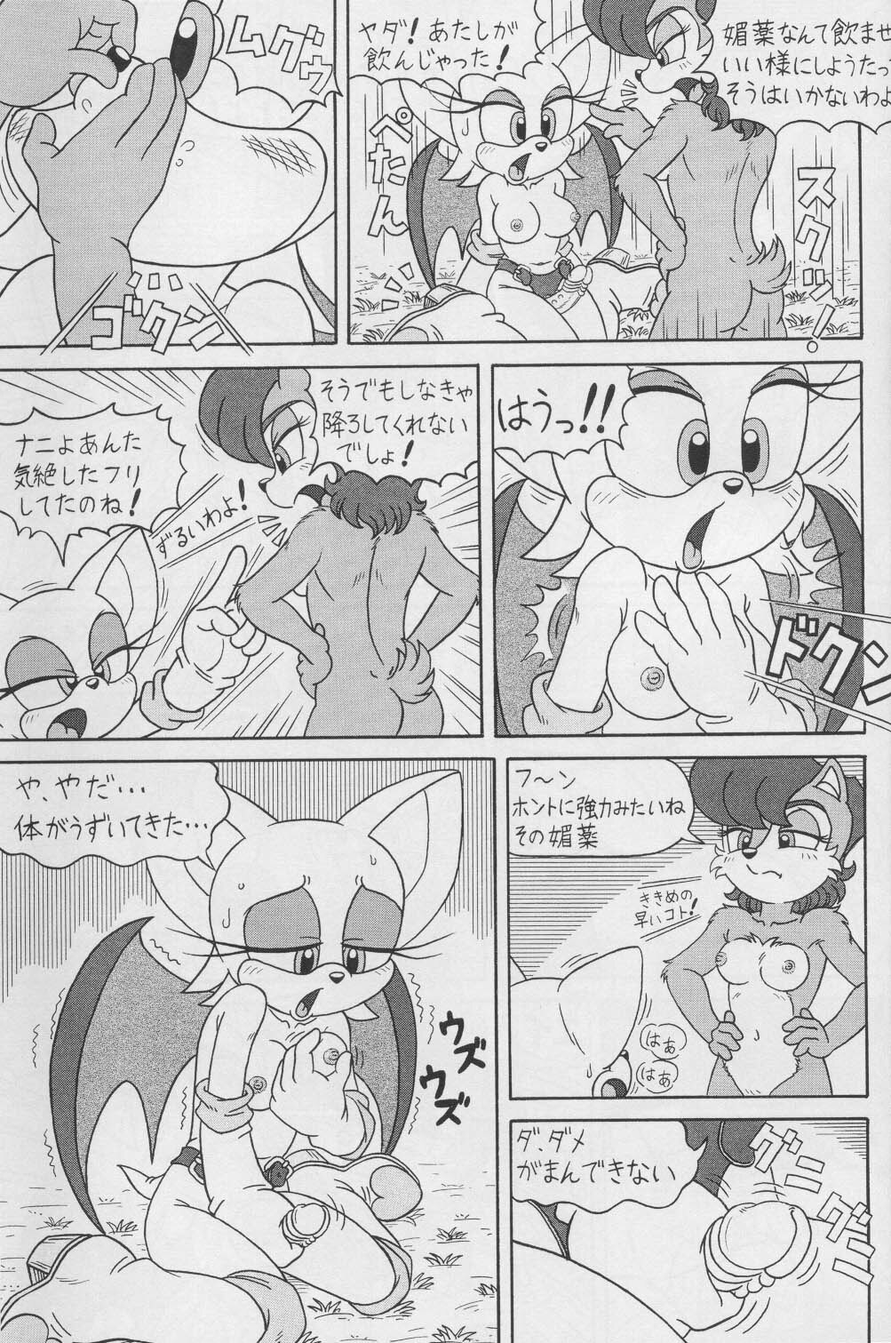 (CR34) [Furry Bomb Factory (Karate Akabon)] Furry BOMB #1 (Sonic the Hedgehog) page 19 full