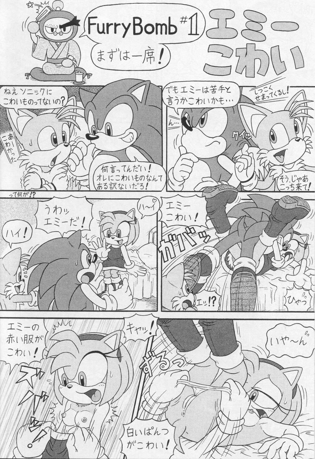 (CR34) [Furry Bomb Factory (Karate Akabon)] Furry BOMB #1 (Sonic the Hedgehog) page 2 full