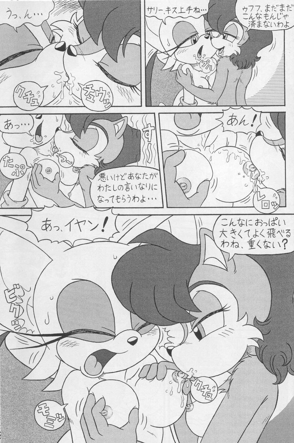 (CR34) [Furry Bomb Factory (Karate Akabon)] Furry BOMB #1 (Sonic the Hedgehog) page 21 full