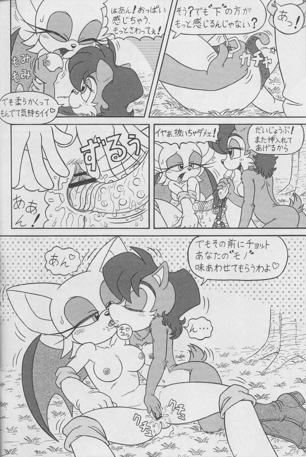 (CR34) [Furry Bomb Factory (Karate Akabon)] Furry BOMB #1 (Sonic the Hedgehog) page 22 full