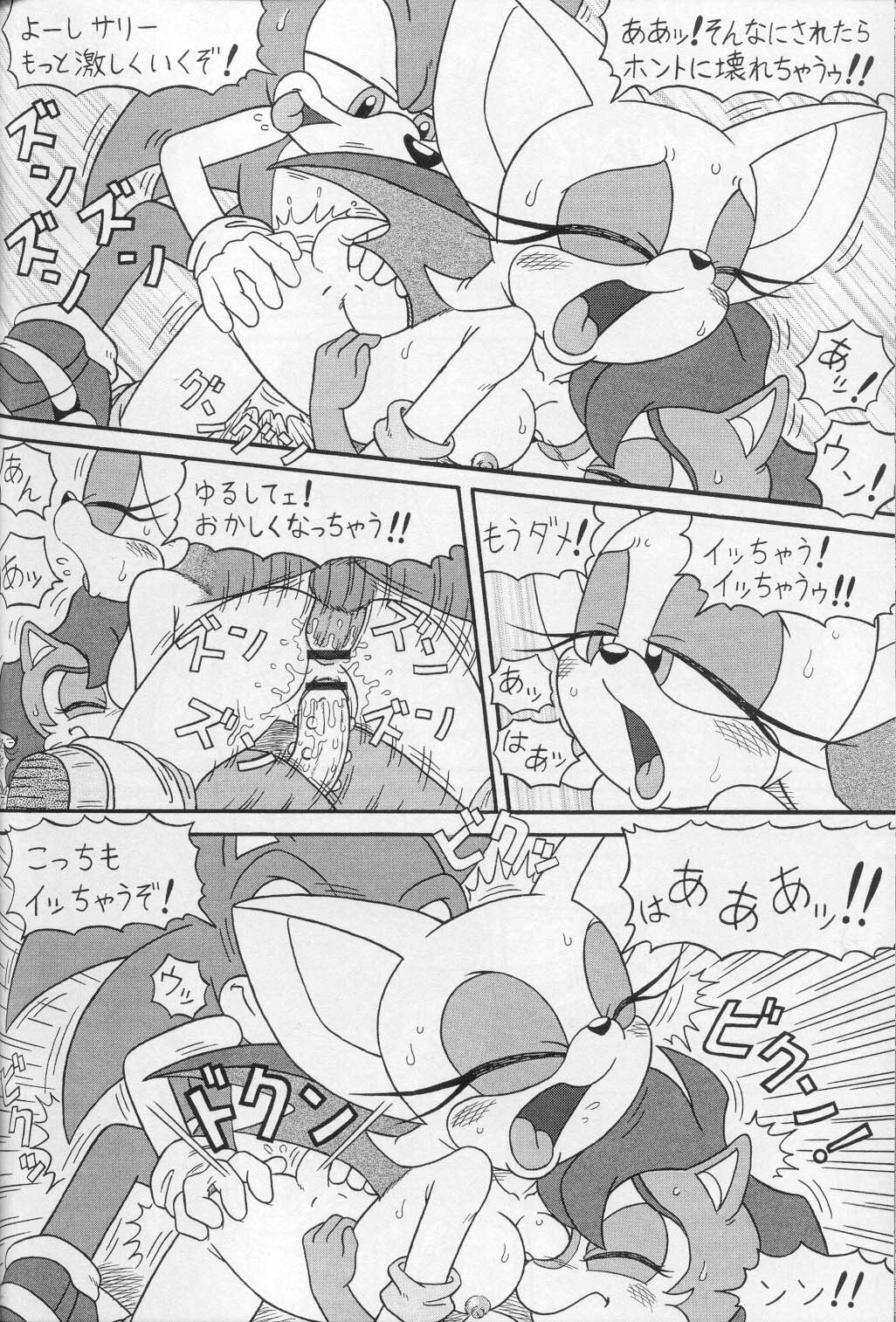 (CR34) [Furry Bomb Factory (Karate Akabon)] Furry BOMB #1 (Sonic the Hedgehog) page 34 full