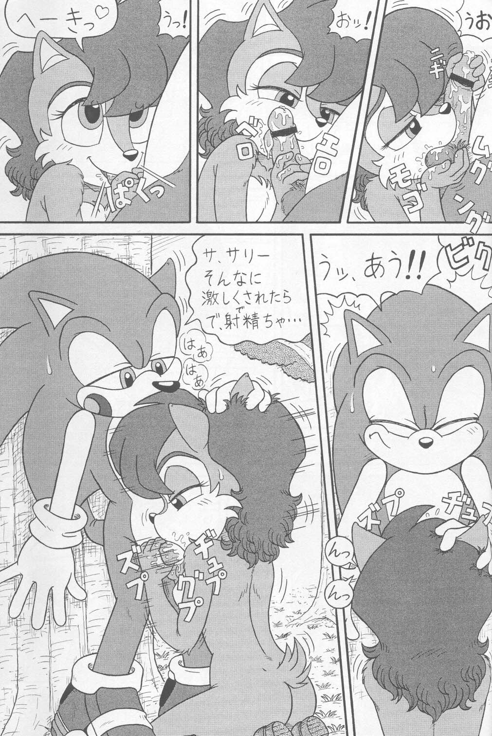 (CR34) [Furry Bomb Factory (Karate Akabon)] Furry BOMB #1 (Sonic the Hedgehog) page 37 full